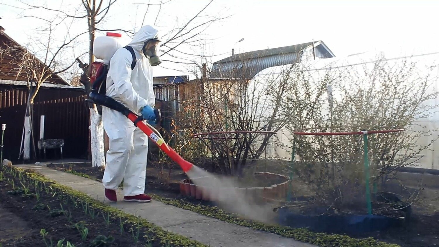 ФОТО Уничтожение муравьёв в Загорянском