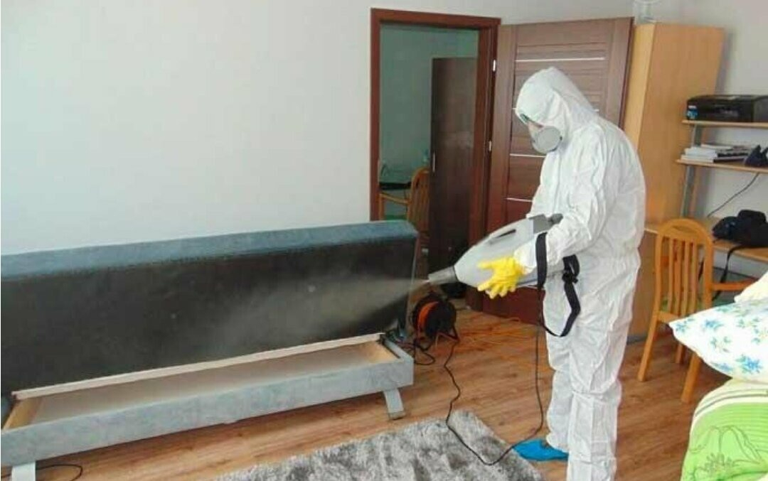 ФОТО Уничтожение блох в Загорянском