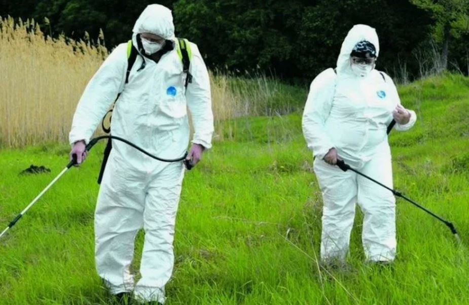 ФОТО Обработка от клещей в Загорянском