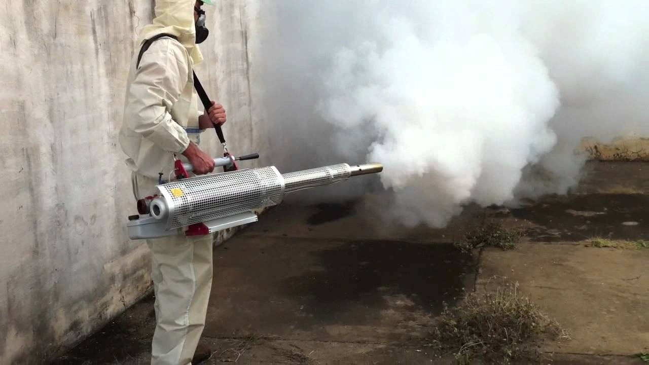 ФОТО Уничтожение мух в Загорянском