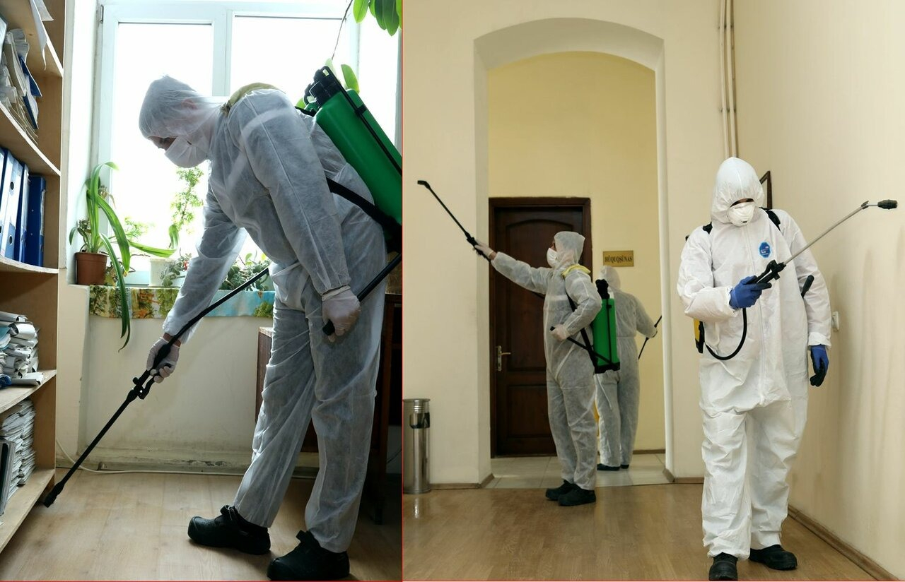 ФОТО Требуется ли лицензия для дезинсекции и дезинфекции в Загорянском? | подробно