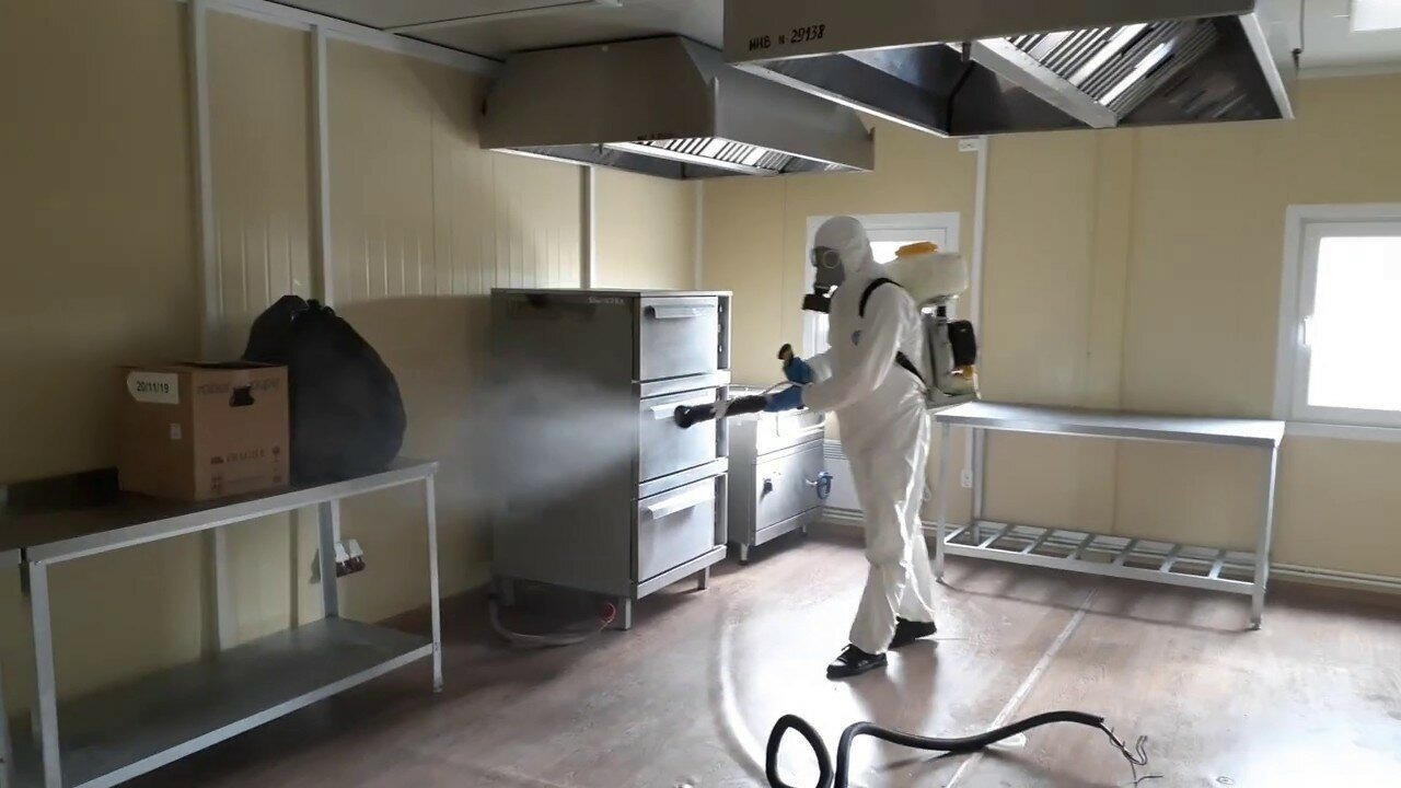 ФОТО Можно ли провести дезинсекцию самостоятельно и какие существуют риски в Загорянском? | подробно