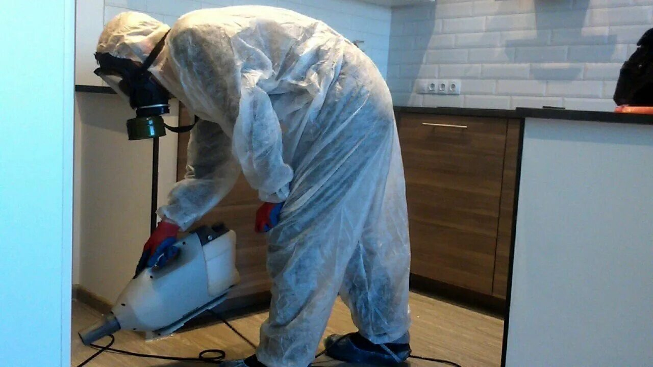 ФОТО Как подготовить домашних животных к обработке от насекомых в Загорянском? | подробно