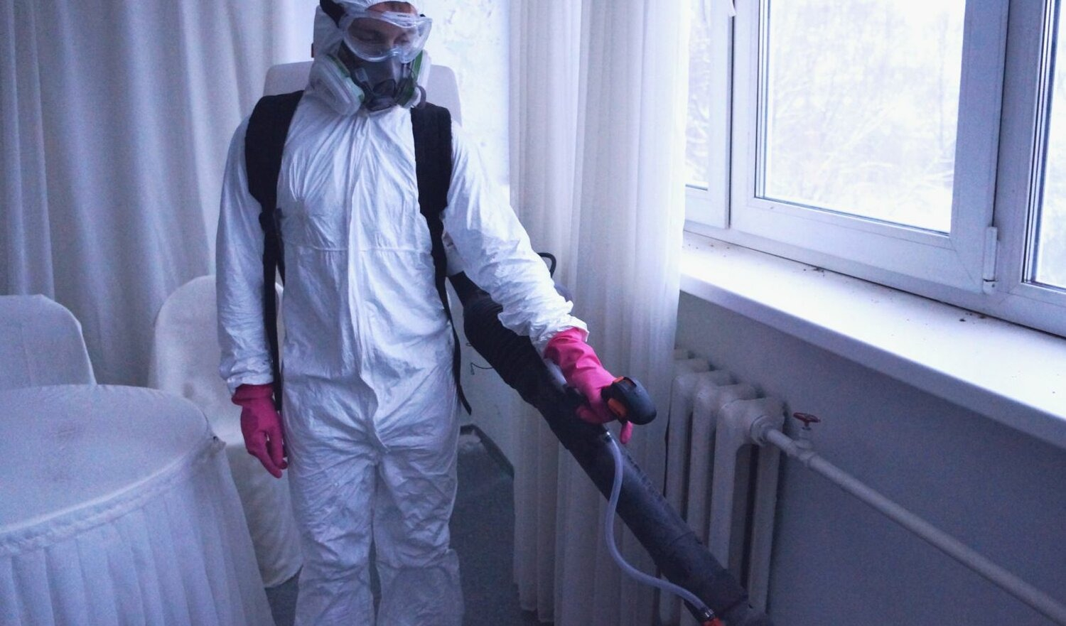 ФОТО Нужно ли выносить растения при дезинсекции в Загорянском? | подробно