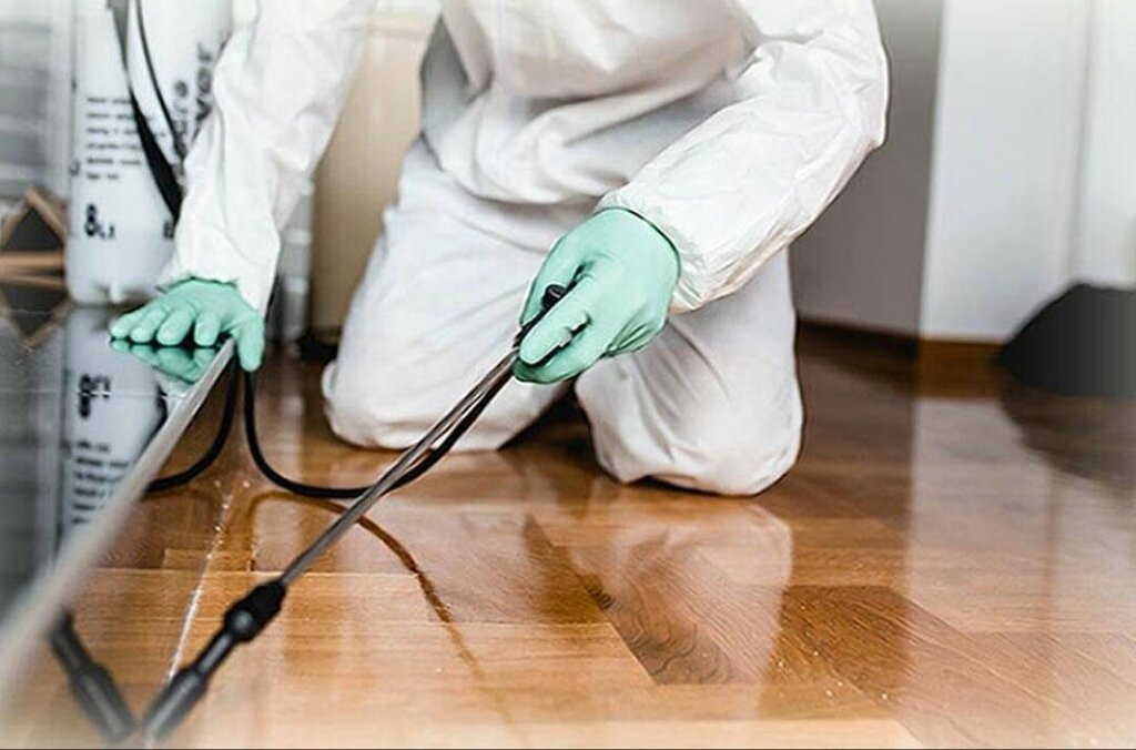 ФОТО Как подготовить вентиляцию при предстоящей дезинсекции в Загорянском?