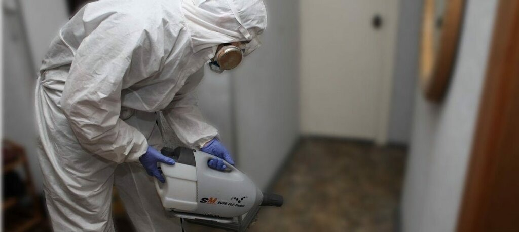 ФОТО Остаются ли следы после обработки квартиры от насекомых в Загорянском? | подробно