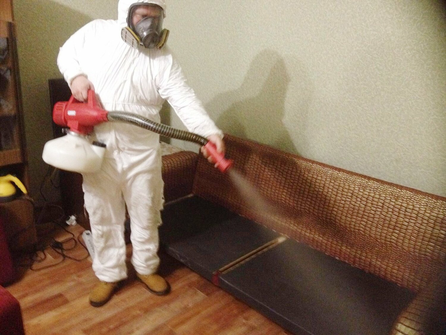 ФОТО Когда можно вернуться в помещение после дезинсекции в Загорянском? | подробно