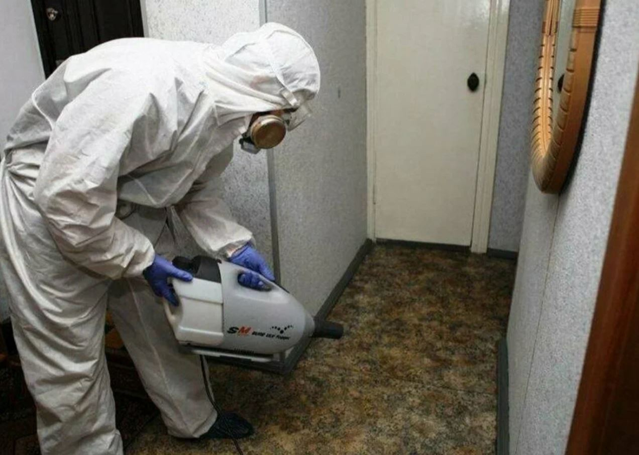 фото: Профессиональная дезинсекция в Загорянском: <br/>+7-909-173-42-96