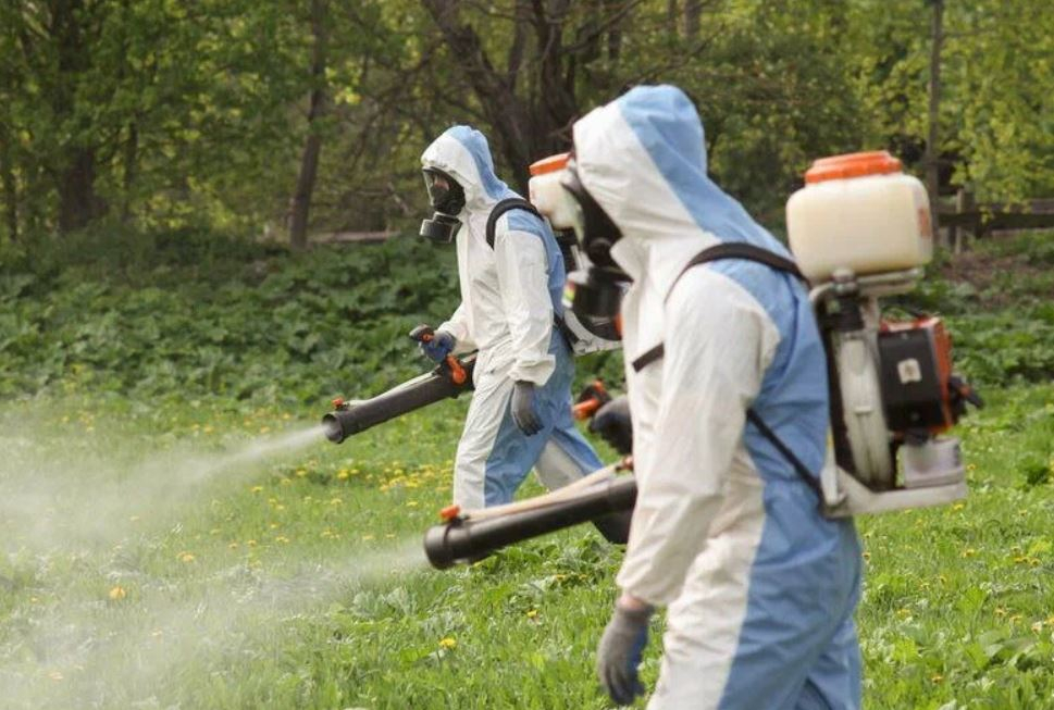 фото: Профессиональное уничтожение мух в Загорянском: <br/>+7-909-173-42-96